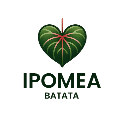 Ipomea